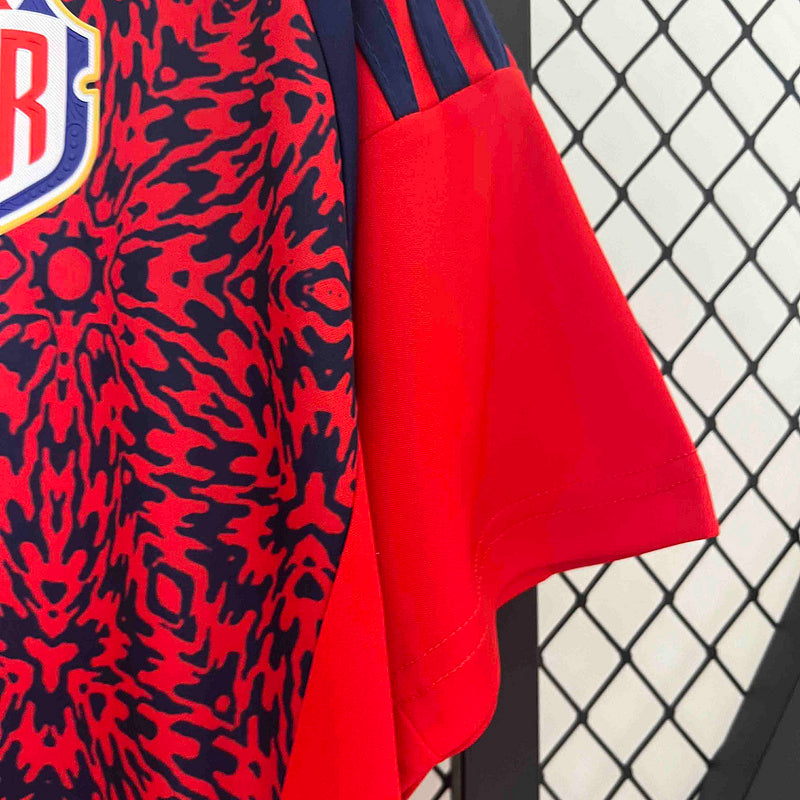 COSTA RICA LOCAL 2024